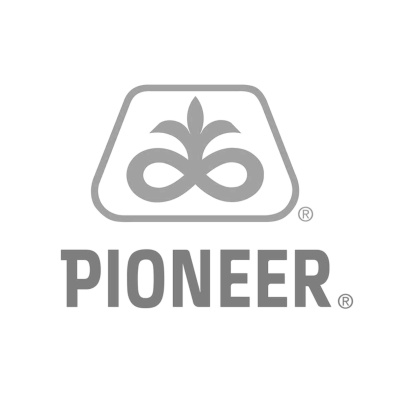 Pionner